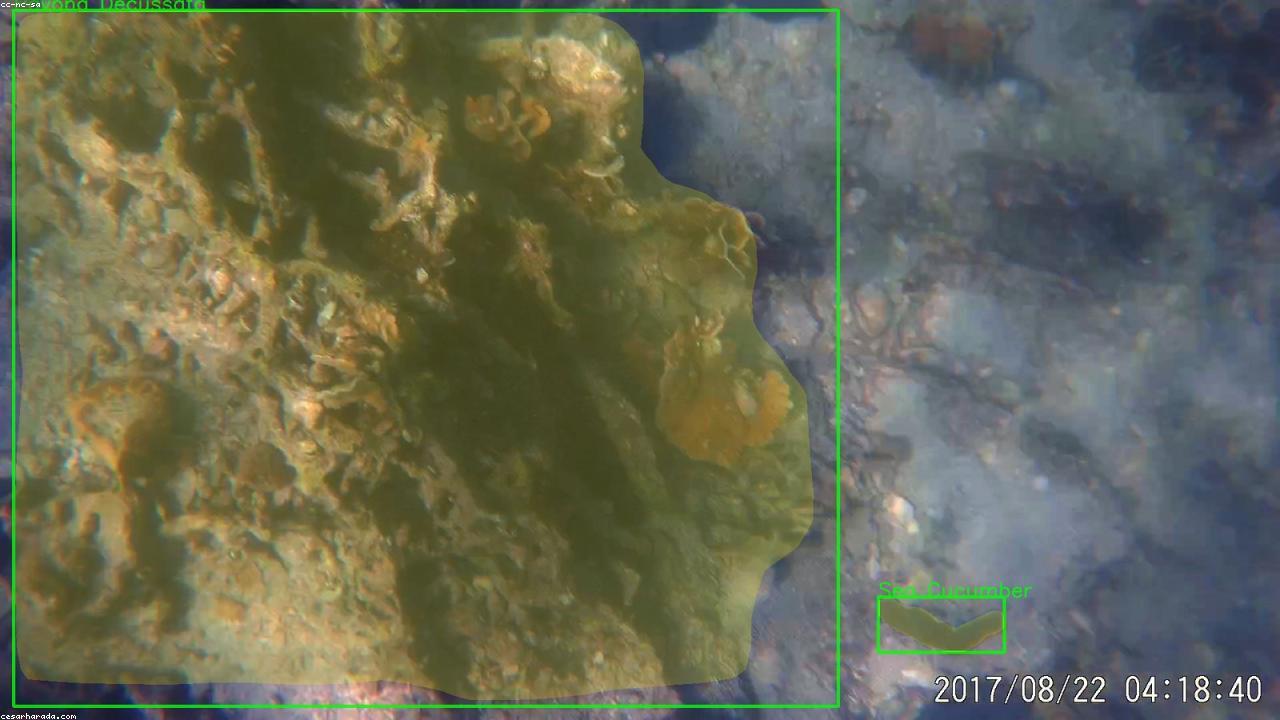 AI视觉应用方案